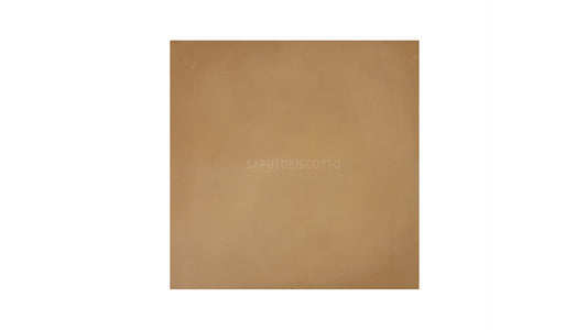 Biscotto Saputo Stone - Glowen Raptor 15" Multi-Fuel - Saputo